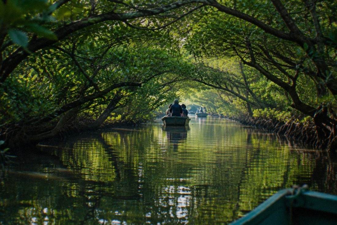 Green Tunnel Scenic Boat Ride, Tainan