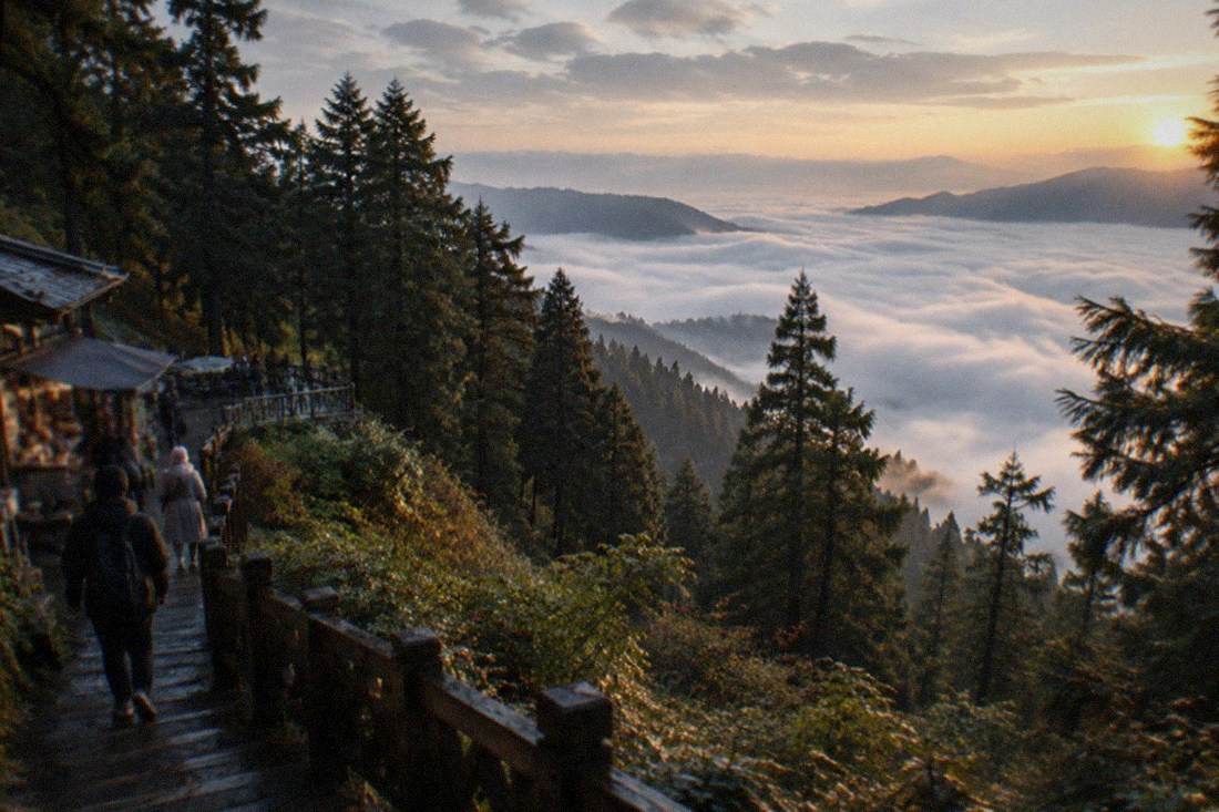Two-Day Alishan Cloud Forest Tour, Alishan and Tainan