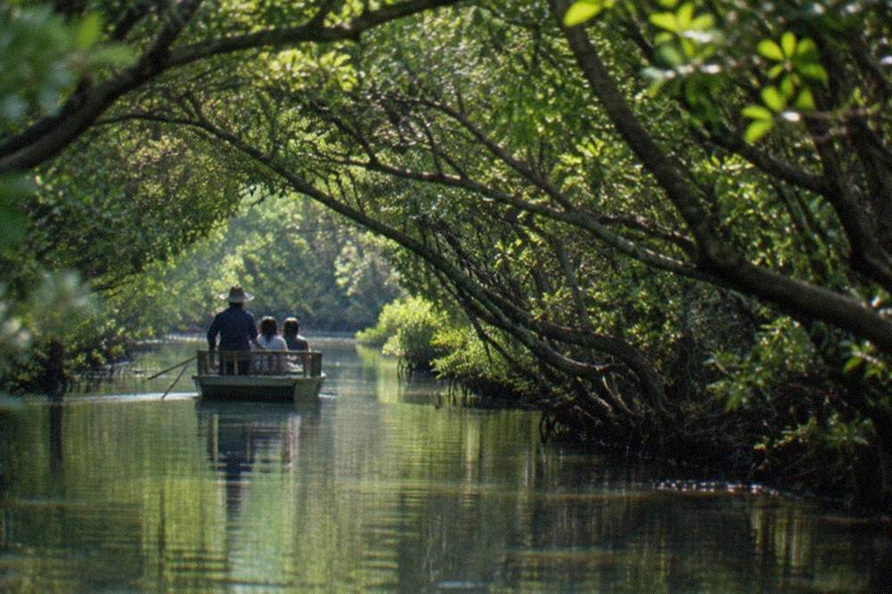 A small boat gliding through a narrow mangrove tunnel on the Tainan lagoon coast