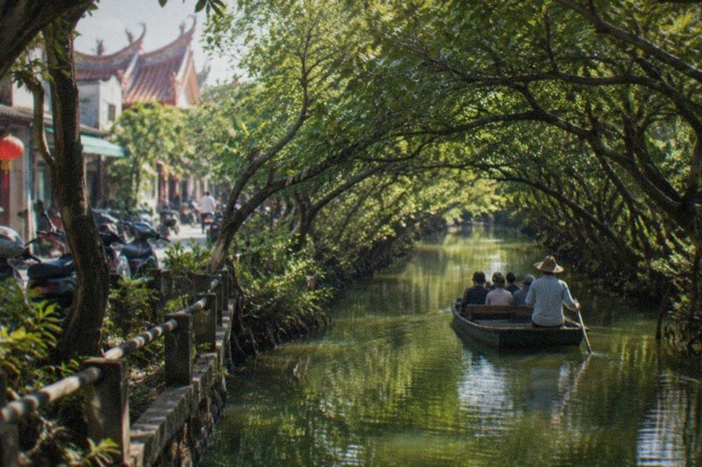 Mangrove trees arching over a narrow green waterway at Sicao in Annan District, Tainan