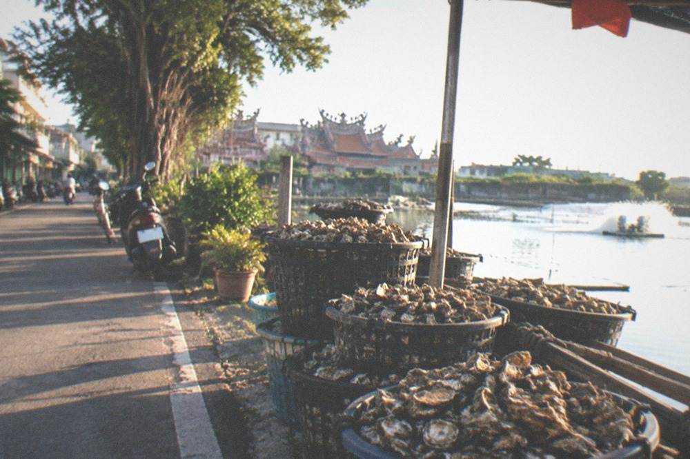 Oysters stacked in baskets beside a fishpond at a roadside oyster farm stand