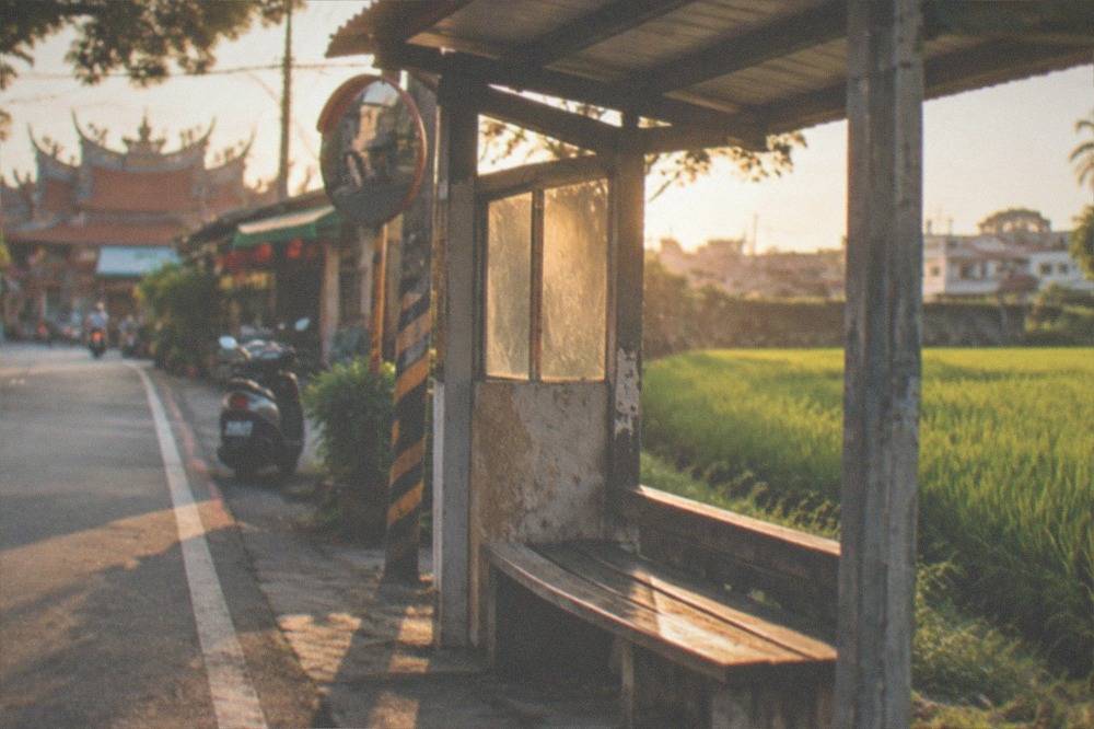A small rural bus stop beside a rice field with a bench and a route sign