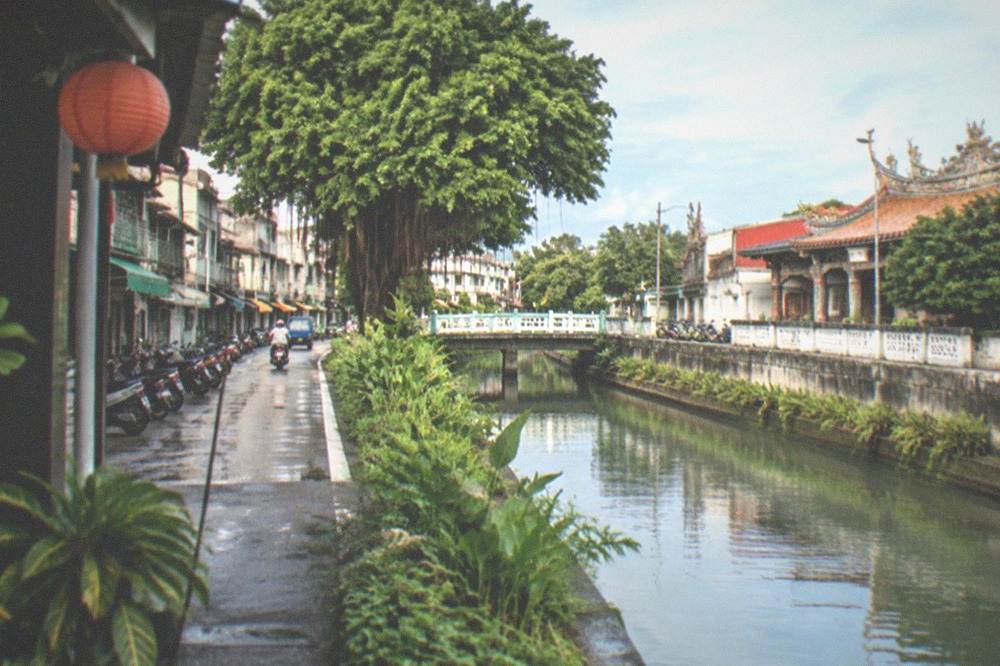 An irrigation channel running between rice paddies with green plants lining the bank