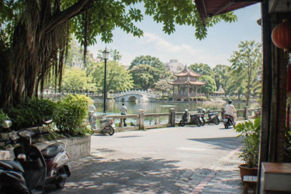 A wide city park with a large pond, stone bridges and dense tree cover in Tainan