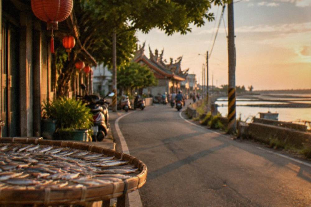 A quiet coastal road running beside fish ponds toward the sea in Qigu
