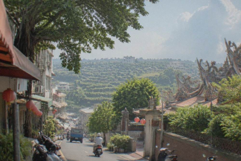 Mango orchards on hillsides in Yujing, Tainan, with rows of fruit trees under a bright sky