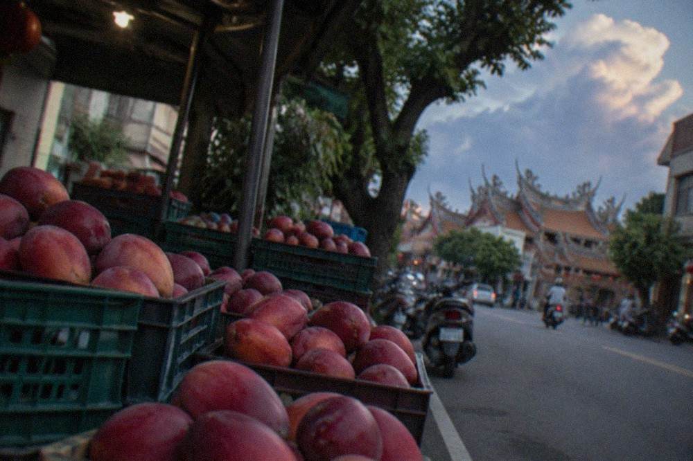 A roadside mango stall in Yujing with crates of red Irwin mangoes stacked in shade