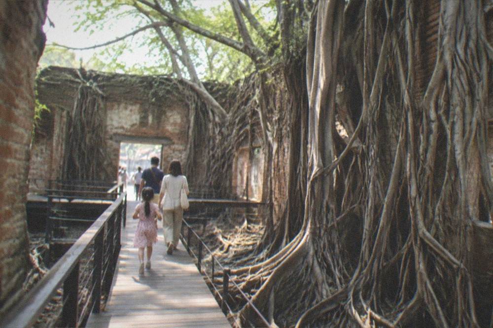 Family walking the elevated walkway among banyan roots at the Anping Tree House