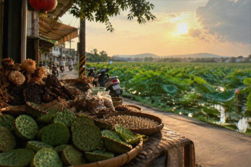 Lotus seed pods and dried lotus products displayed on a rural market stall table