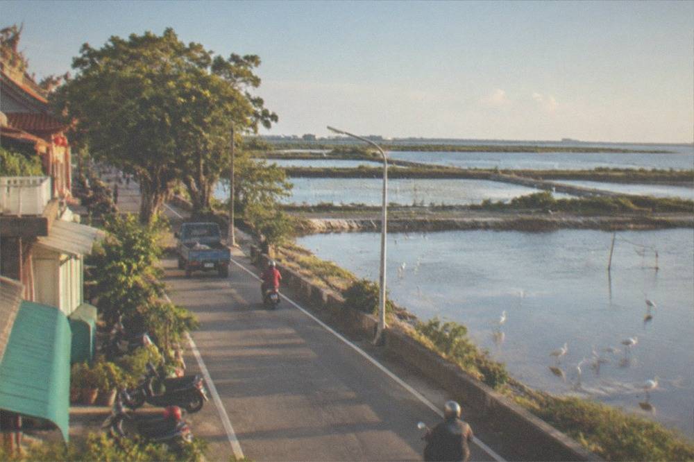 A coastal road running between fish ponds with egrets in the shallows