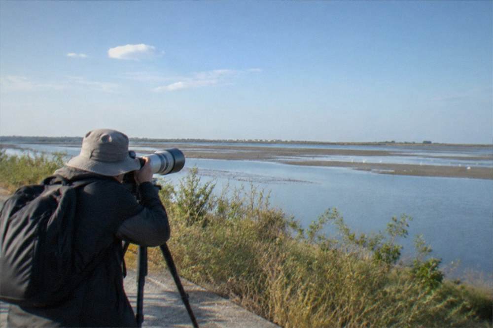 A photographer with a telephoto lens set up on a wetland path beside a pond