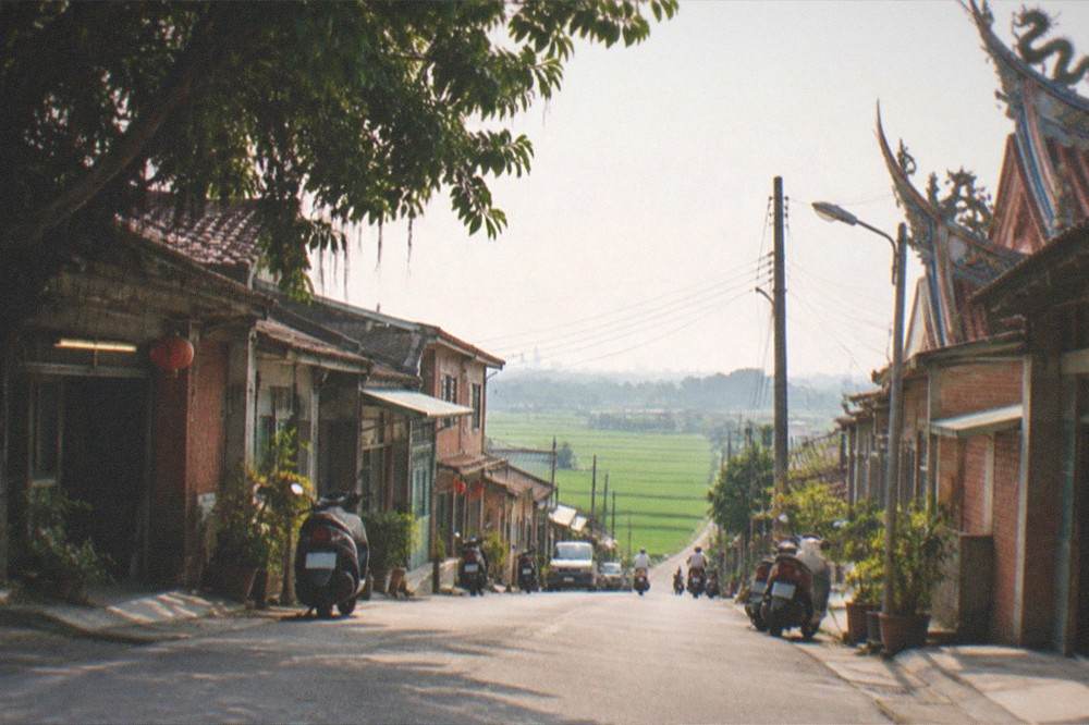 A wide view of rice fields stretching to the horizon behind a small village street