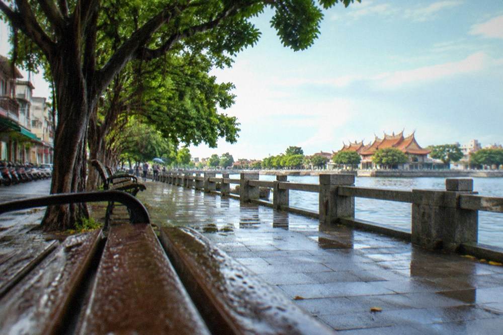 Benches and shade trees along a waterfront path in Anping, Tainan