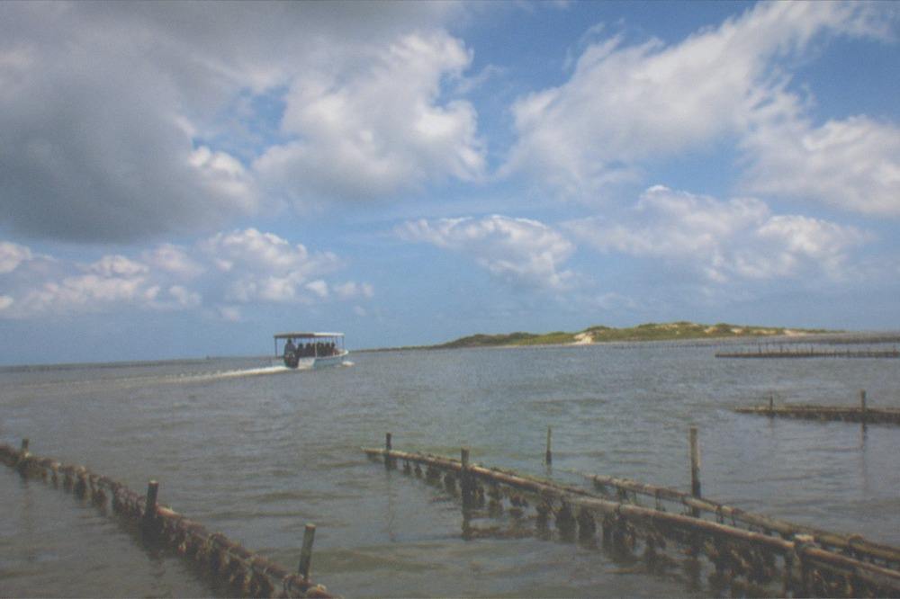 A small open tour boat crossing open lagoon water toward green sandbar dunes