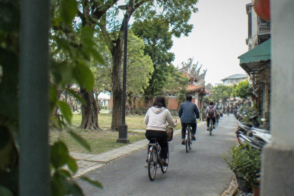 Cyclists riding along a flat path beside trees and open ground in a city park