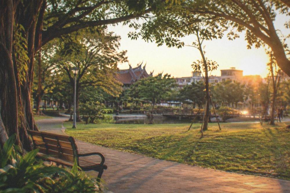 A wide view of a green city park at sunset with paths, trees and distant buildings