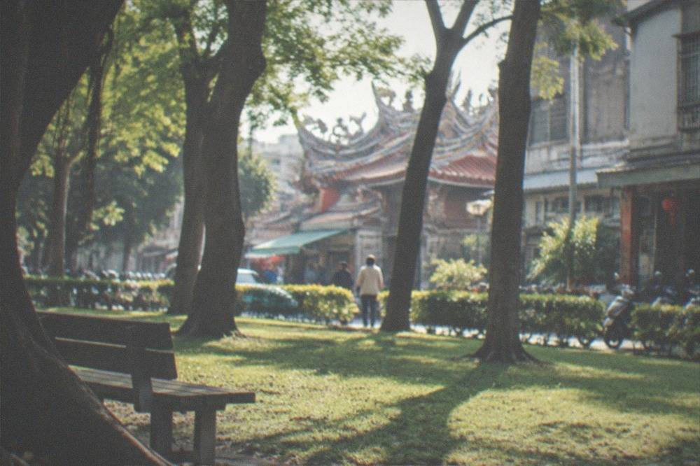 Sunlight falling through tall trees onto an open lawn in a city park