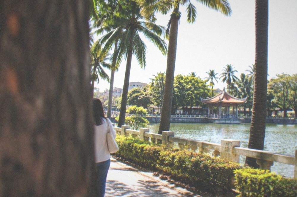 Palm trees and a pond seen from a park path on a clear day