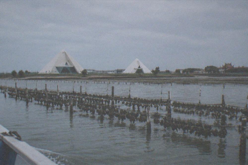 Oyster racks standing in shallow lagoon water in rows, seen from a boat