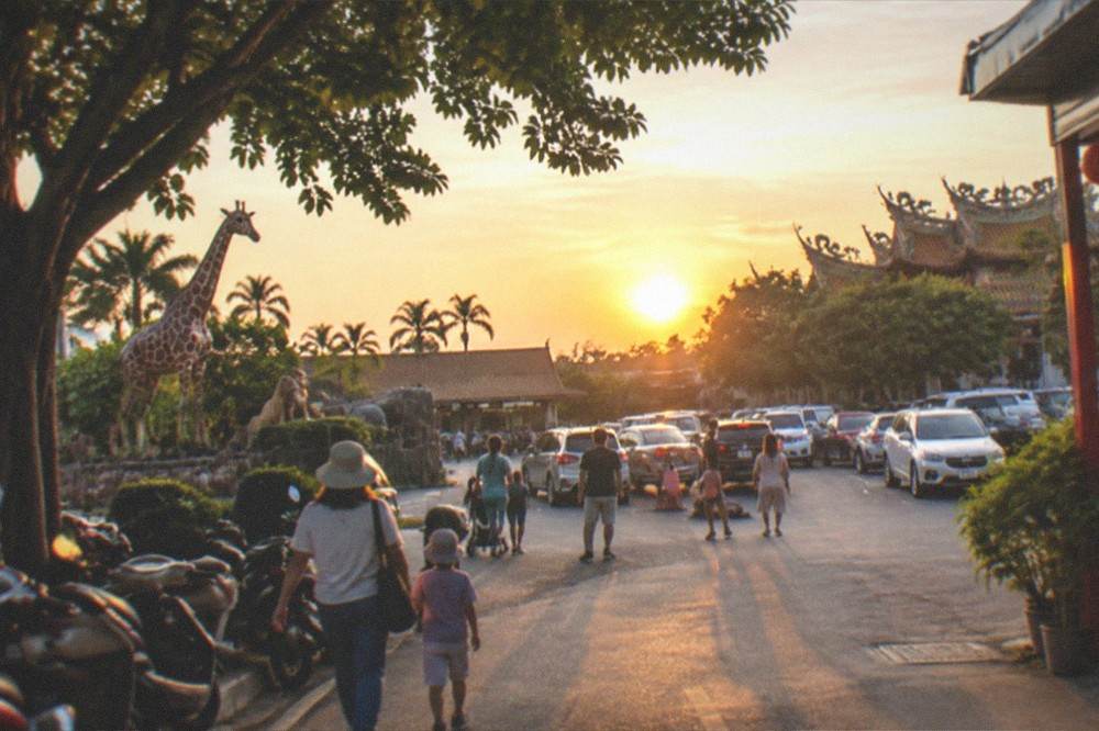 A sunset view over a safari park parking area with families heading to their cars