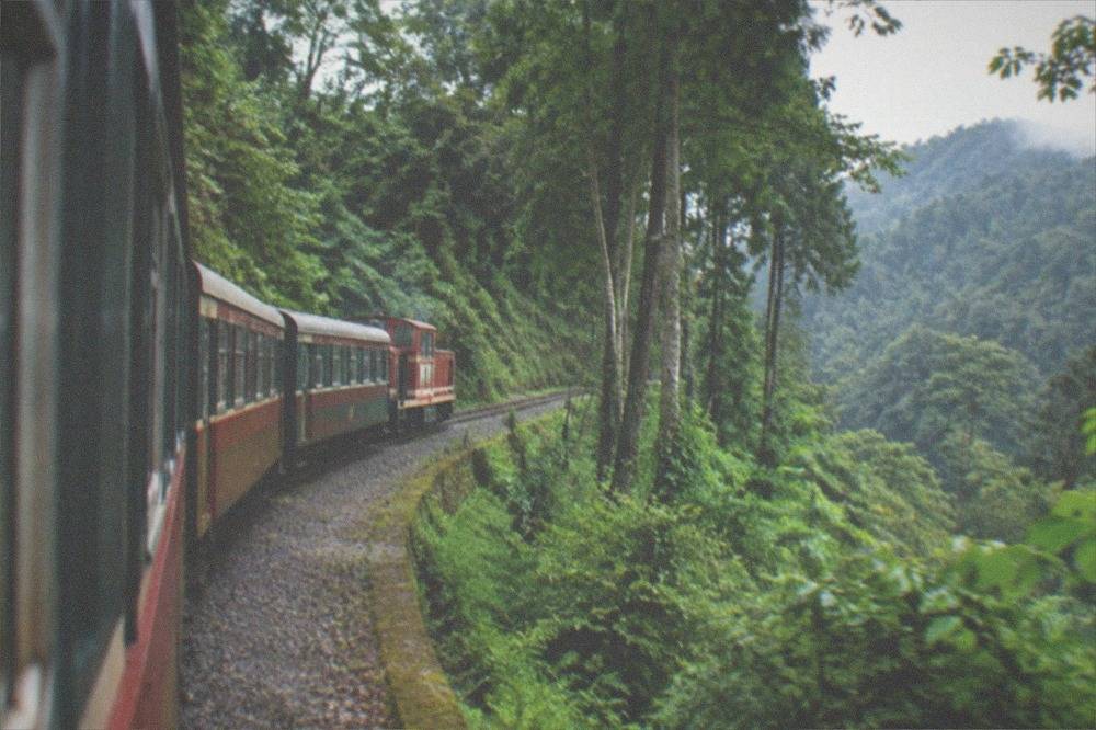 A narrow gauge mountain railway train winding through tall green forest on a hillside