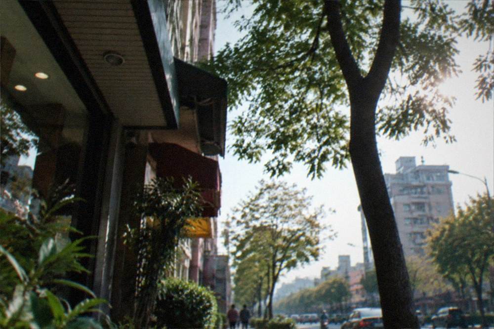 A clear winter day over a Taiwanese city street with trees and low sun