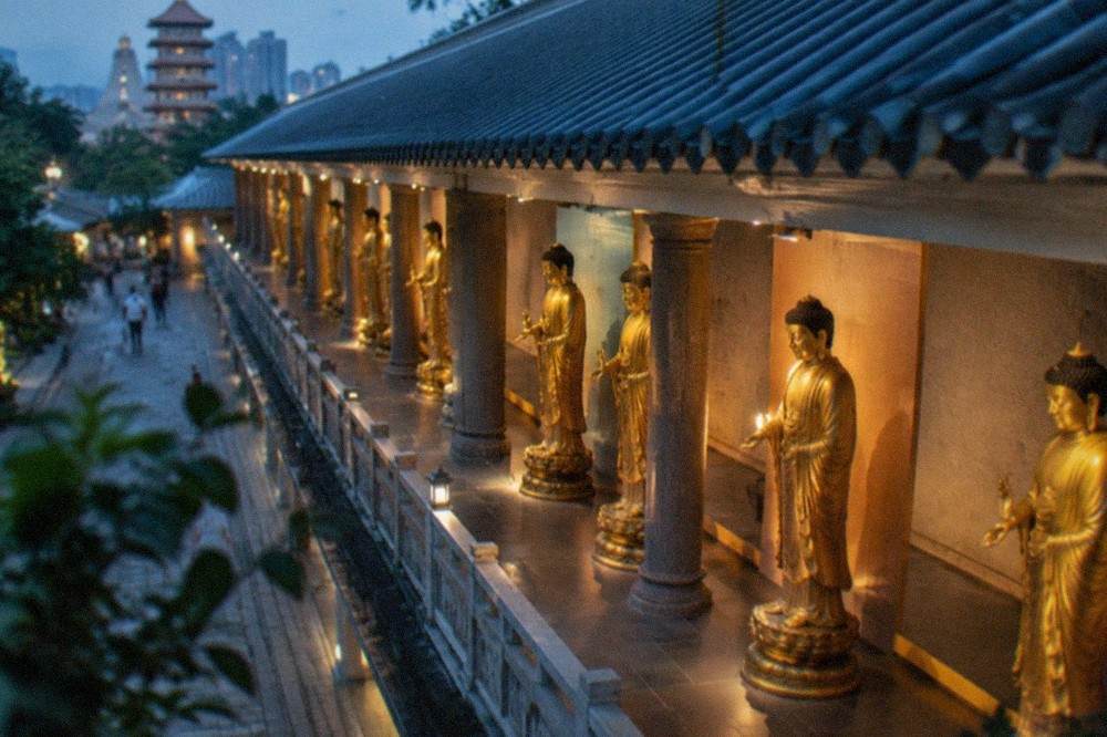 Rows of golden Buddha statues lining a covered walkway at a monastery