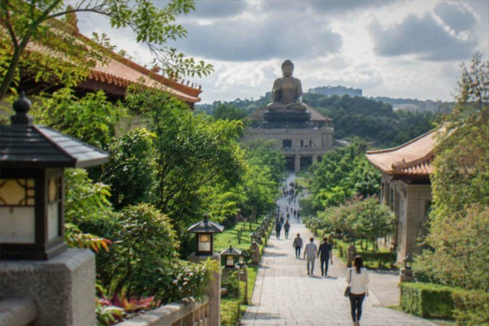 A stone path through temple gardens with lanterns and green trees