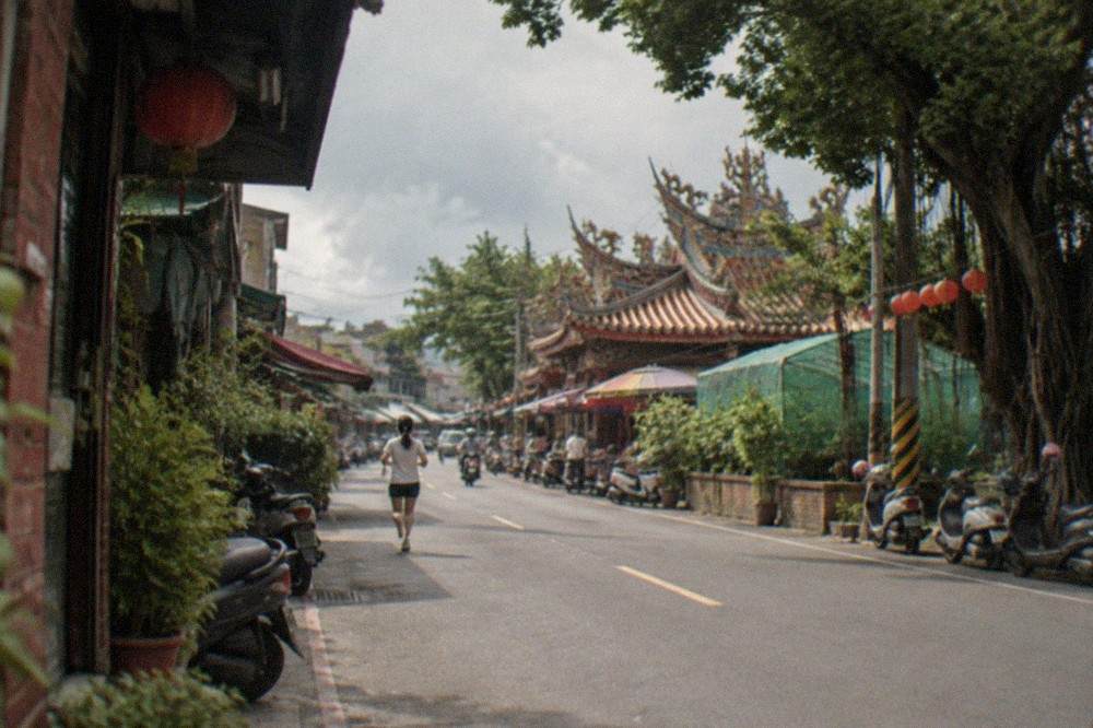 A rural Taiwan road lined with mango trees and netted orchard plots in the hills