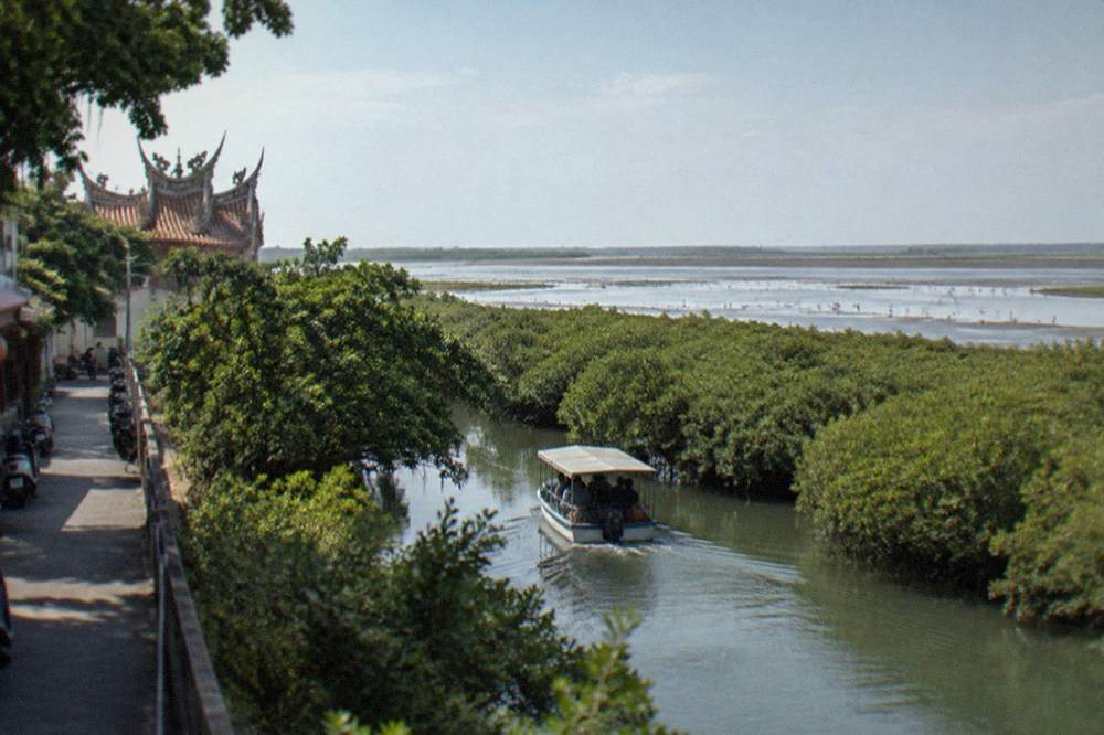 A small boat passing under mangrove branches in a narrow green channel