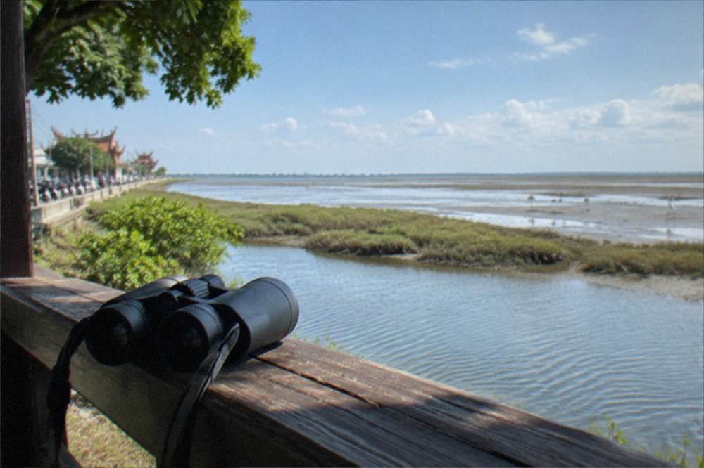 Binoculars resting on a wooden rail above a wetland channel