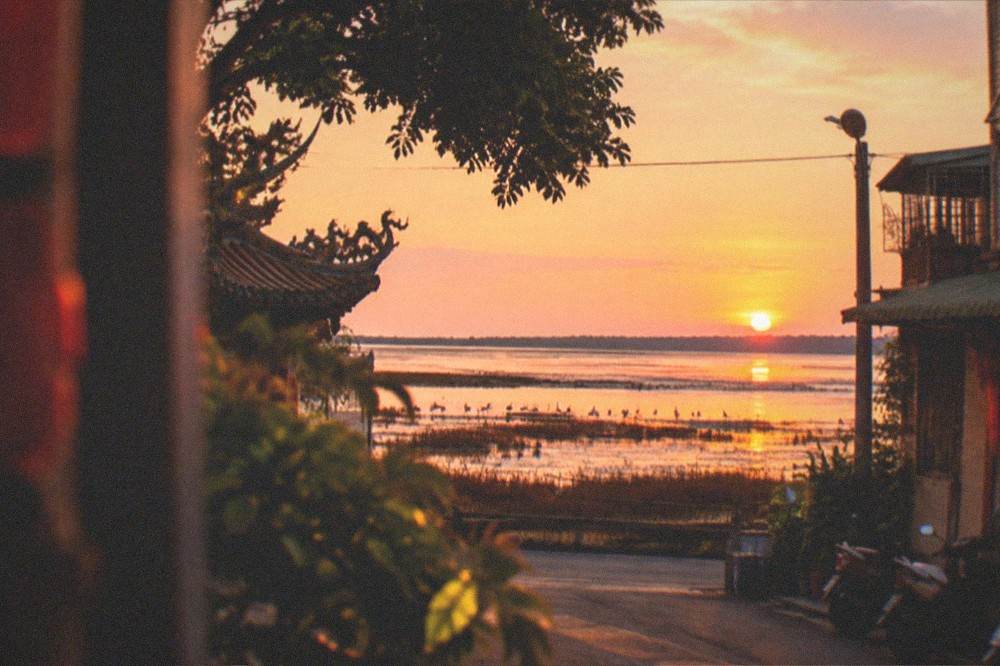 Sunset over a lagoon with silhouetted wetland grasses