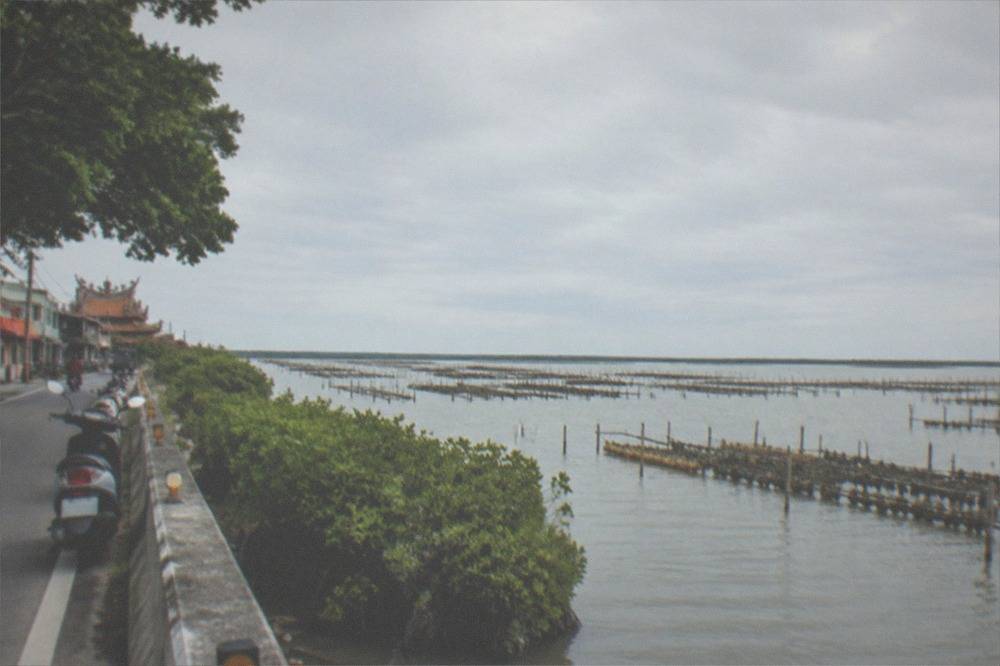 A road running beside wide lagoon water with mangrove trees along the shore