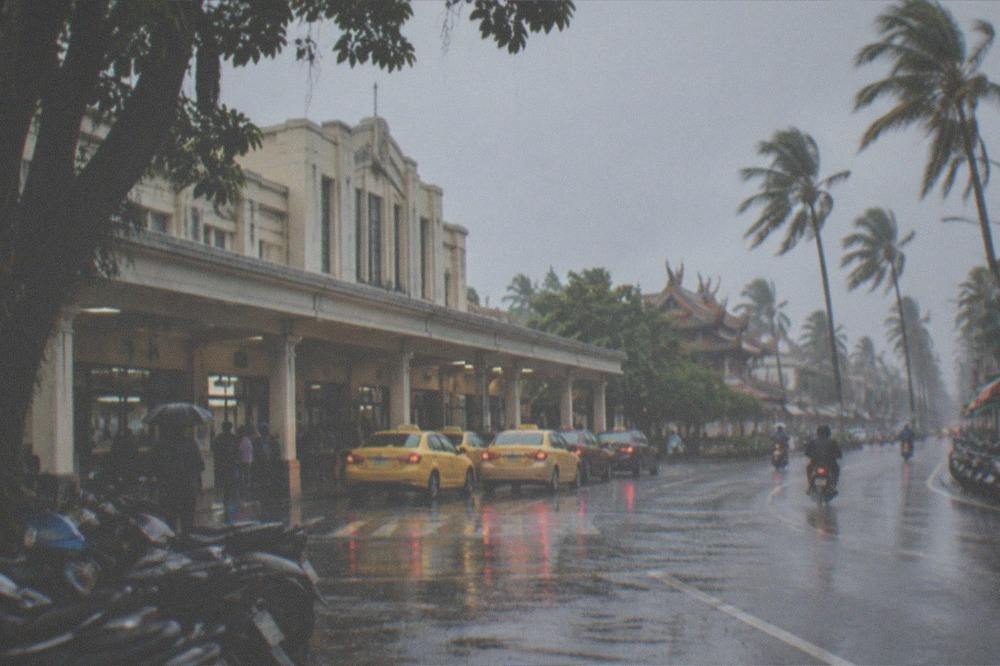 Heavy rain falling on an empty coastal road with palm trees bending in the wind