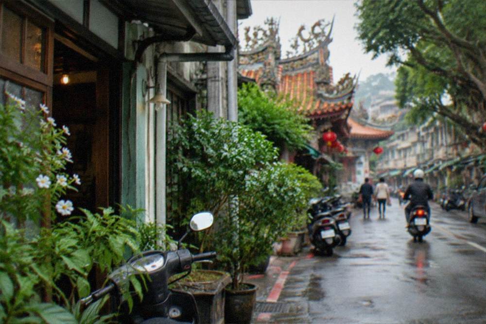 Hot spring steam rising among trees at a Taiwanese mountain hot spring town