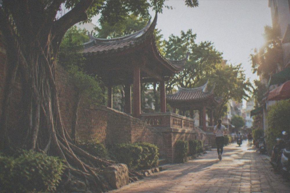 Red brick walls of an old Dutch-era fort with banyan trees growing against the stone