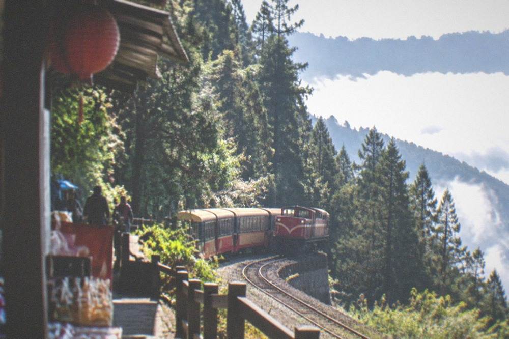 A narrow gauge mountain railway train winding through forest