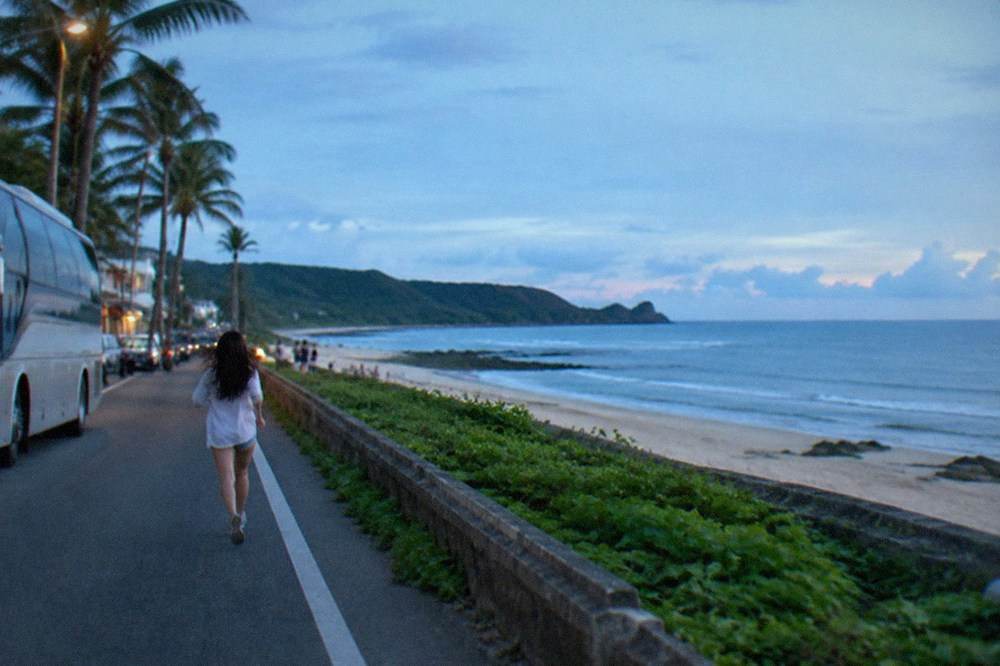 A tour bus parked beside a palm-lined road near a beach town