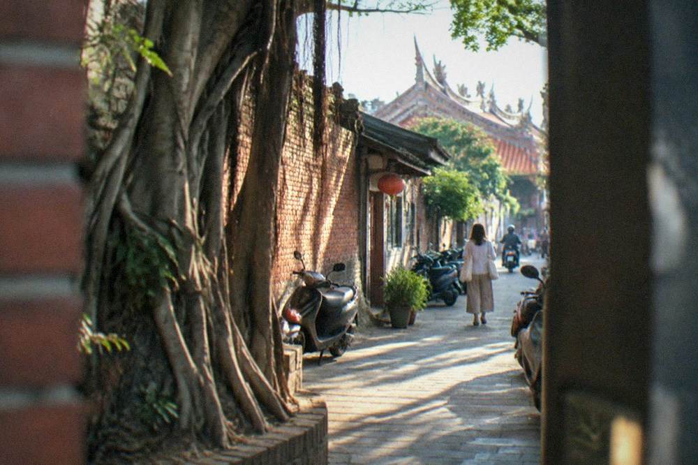 Old brick walls and banyan roots at a historic Anping site