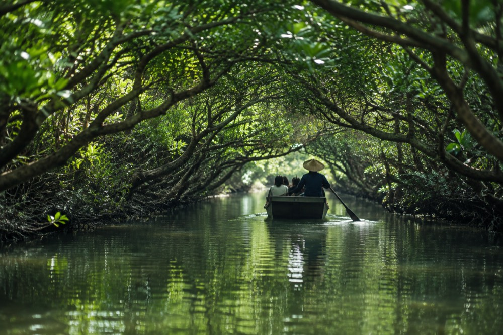 A small boat gliding through a narrow mangrove tunnel on calm green water
