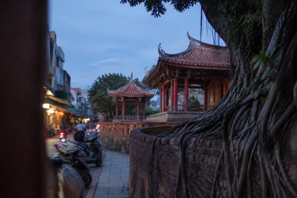 A curved brick wall covered in the roots of a large banyan tree
