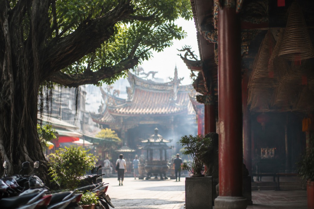 An old banyan tree shading the courtyard of a quiet Tainan temple