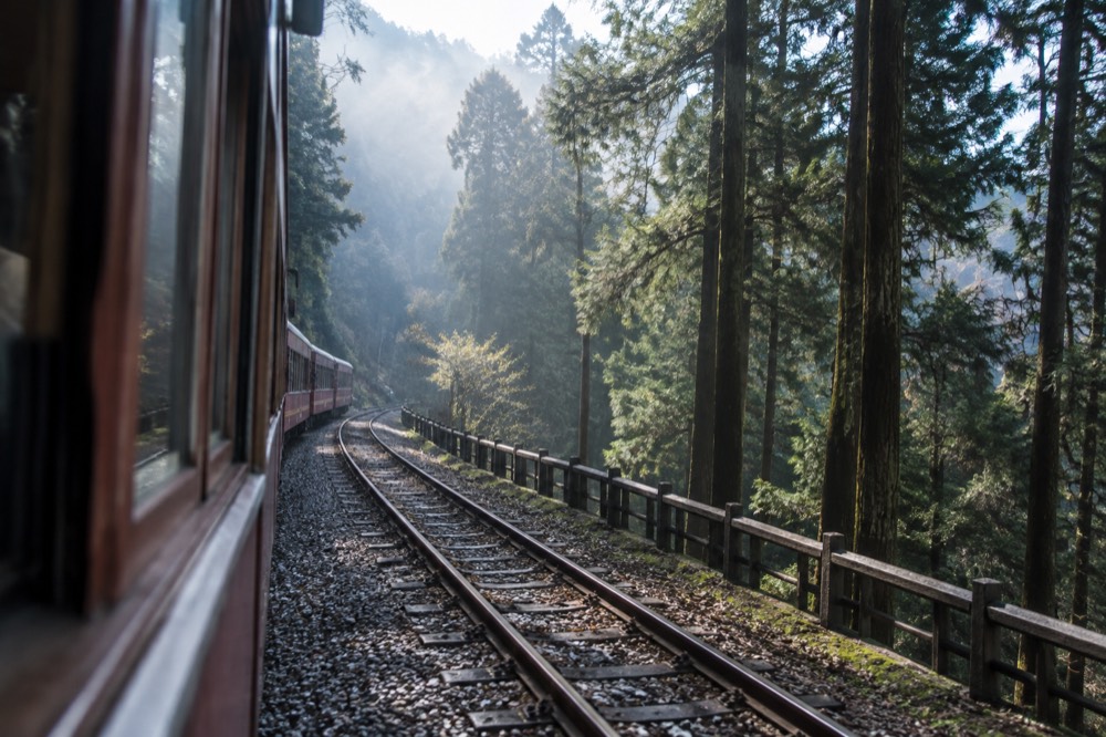 Misty mountain forest railway track winding through tall cypress trees